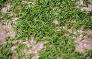 sestava zelenega čaja