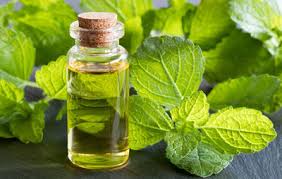 eterična olja eterična olja