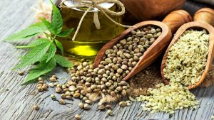 konopljina semena uporaba