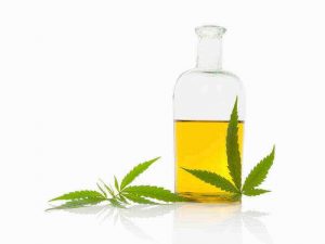 konopljino olje